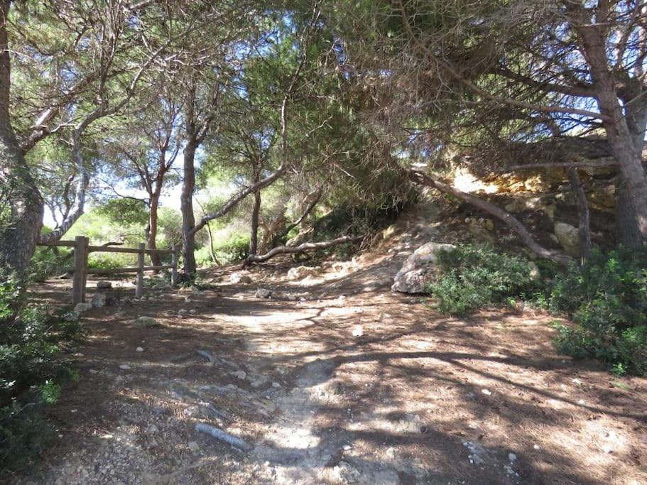 Appartement Coqueto Alojamiento Con Banera De Hidromasaje à Tarragone Extérieur photo